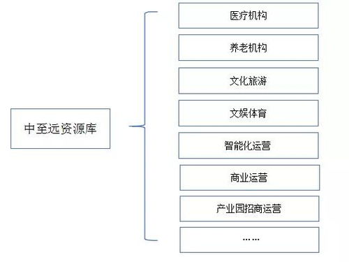 地方政府專項債發行全流程綜合咨詢服務方案——中至遠咨詢，以專業技術與防偽保障護航地方發展